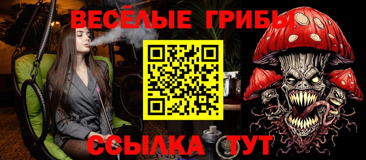 Галлюциногенные грибы Psilocybe  Вход с VPN  Псилоцибиновые грибы мицелий  Санкт-Петербург 