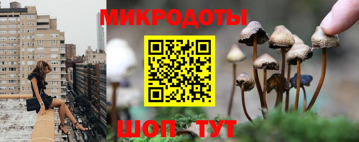 Псилоцибиновые грибы прущие грибы Санкт-Петербург